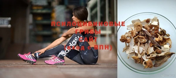 Альфа ПВП Армянск