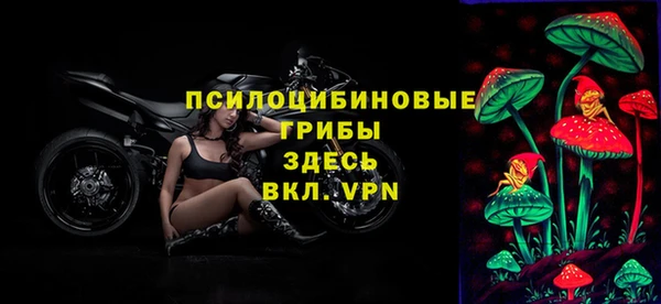 спиды Алексин
