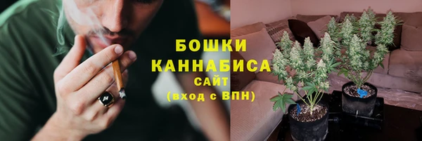 бошки Аркадак