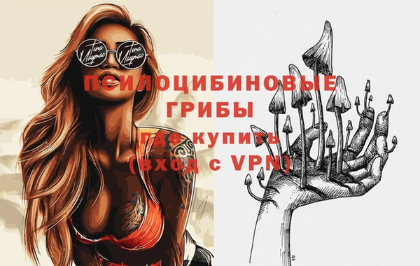 бошки Аркадак