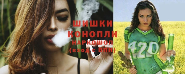 бошки Аркадак