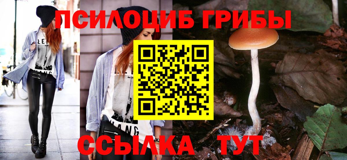Мытищи  Псилоцибиновые грибы ЛСД  Псилоцибиновые грибы Psilocybe  Вход с VPN 