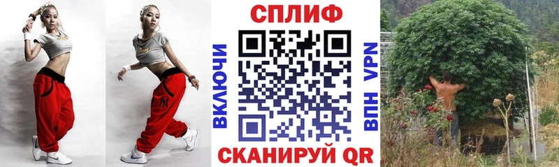 сайты даркнета какой сайт Мытищи Конопля марихуана